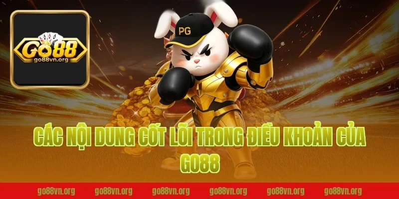 Các Nội Dung Cốt Lõi Trong Điều Khoản Của Go88